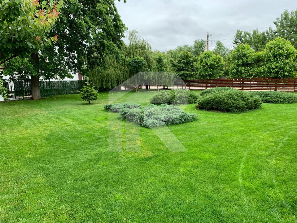 JOITA Lot 500 MP 